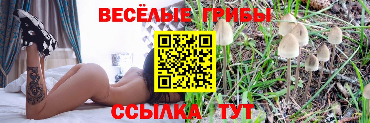 Псилоцибиновые грибы Cubensis Кольчугино
