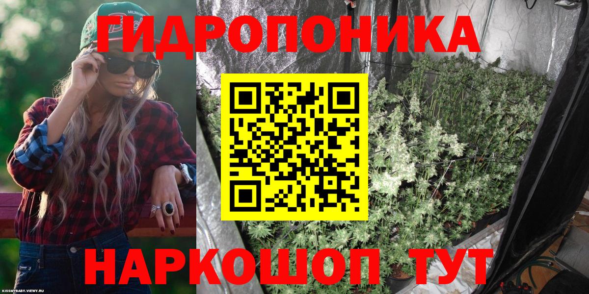 Канабис OG Kush Кольчугино